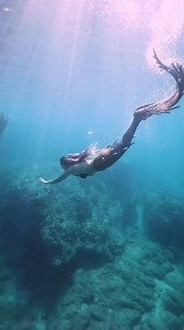 3.2M views · 48K reactions | Just some mysterious mermaid magic for your Monday 隆‍♀️ tail by Finfolk Productions | Mermaid Sirenity | Facebook