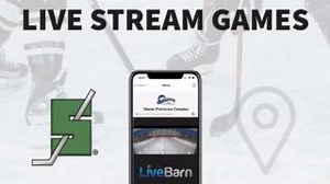 The Silver Sticks Port Huron Finals continue Thursday afternoon in Port Huron, MI!  Can't make it to the rinks? We are streaming all games throughout the weekend. Watch live or on-demand for 30 days, and don't forget to send us your highlights for a chance to be featured!  To learn more or sign up, visit www.livebarn.com. | LiveBarn | Facebook