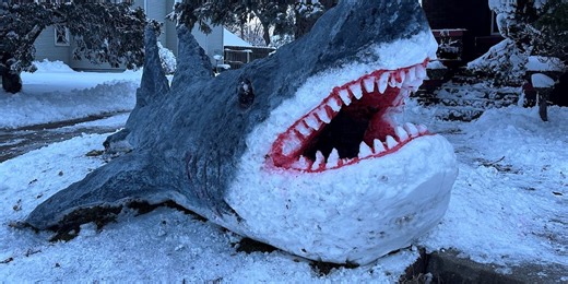 Talented artist sculpts 20-foot shark out of snow