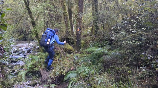 Scottish Express on Reels | Facebook