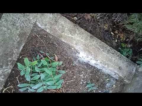 Concrete Terrace & Pool Wall Repair – Phase 3 Progress!