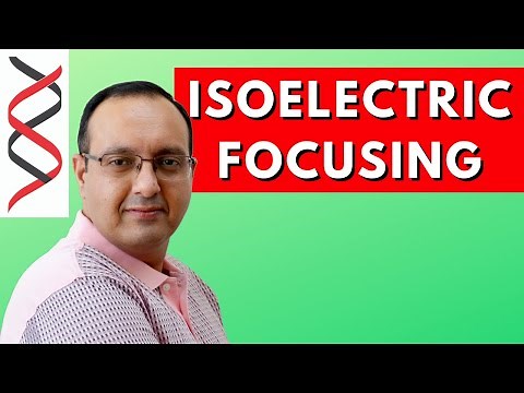 Isoelectric Focusing (IEF) | Protein Techniques