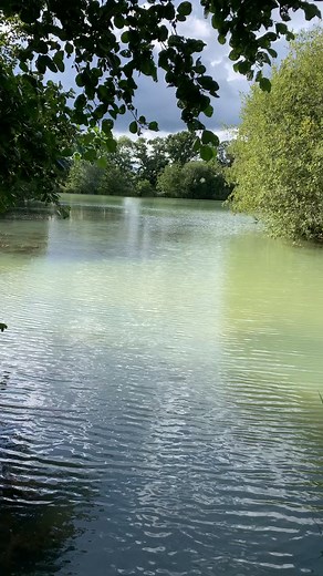 1 week to go! https://etchrock.com/challenge/info/summer-nuts-challenge-2023?source=etchrock.events #bemorenuts #obstaclerace #mudrun #dorking #surrey #fyp #fitness #running | Nuts Challenge | Facebook