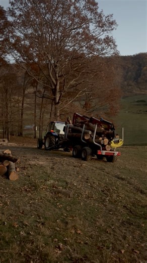 Forwarding logs and firewood with the #newholland #tractor and the #tajfun forwarding trailer. A little bit everyday goes a long way! Help someone if you can | Russ Willey