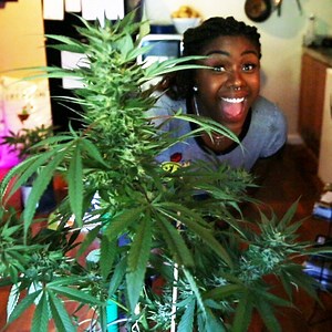 249K views · 720 reactions | This DIY Weed Class Teaches You How To Grow Your Own Weed | Tasty Home | Facebook