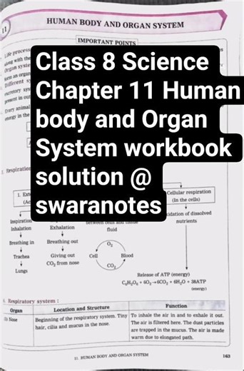 Class 8 Science Chapter 11 Human body and Organ system workbook solution @swaranotes