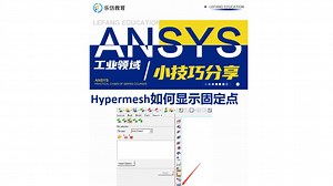40秒教会你！Hypermesh中如何显示固定点