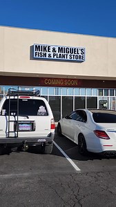 Well. We got the coming soon sign up. Thats one way to start the day. Good morning y'all! Sometime in February is the opening date..... hopefully. We are located at 450 S. Buffalo unit 104 Las Vegas Nevada | Mike & Miguel's Fish & Plant Store