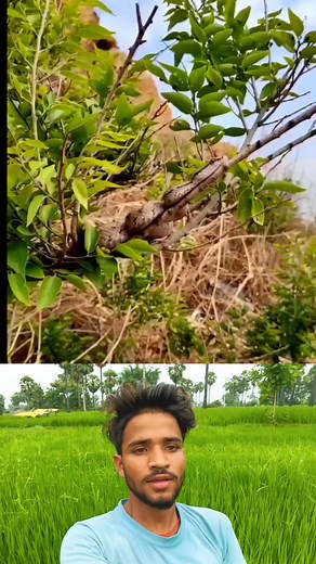 Video 😱😱😱 | Satis Kumar