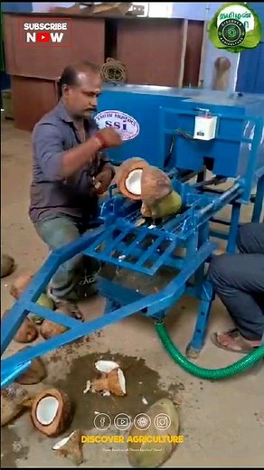 Coconut Cutting Machine