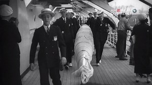 48K views · 1.4K reactions | On July 15th, 1936, three hundred and thirty-four members of the U.S. Olympic team began their journey across the Atlantic to Berlin for the Olympic Games. Among them were nine young men from Washington and their racing shell, The Husky Clipper. | American Experience | PBS | Facebook