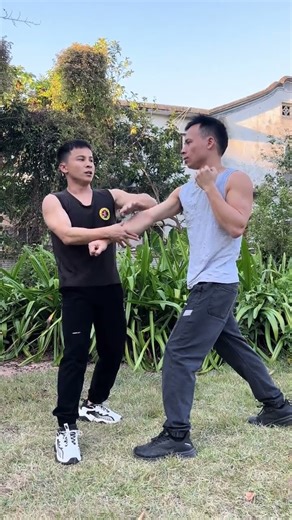 Wing Chun snake hand