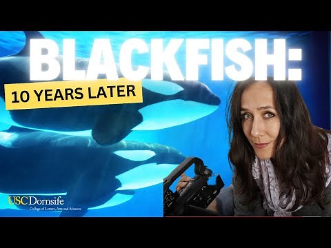 Blackfish Documentary: A Director's Story