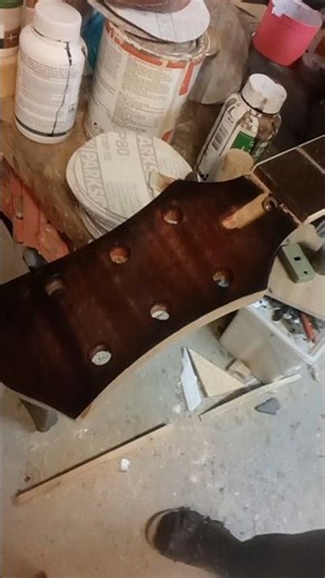 shellac on my guitar makes me happy 🥳 #guitarcraft #woodworking #shellac #finish