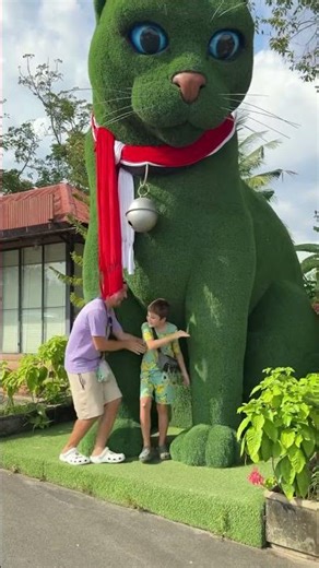 Is this kitty 🐈‍⬛ real become alive? #catvideos #cat #catfunny #kittytv #catboy