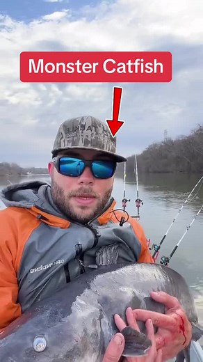 Another beautiful Blue Catfish! Man these fish put up a great fight 🎣 #fishing #catfishing #bigfish #monsterfish #bluecatfish #catchandrelease