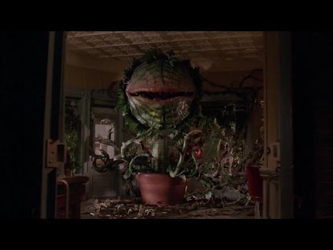Little Shop of Horrors (Workprint VS Director's Cut Ending)