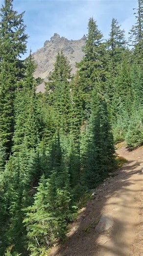 Three Finger Jack @outdooradventureswithd #hiking #outdoors #explore #oregon #nature