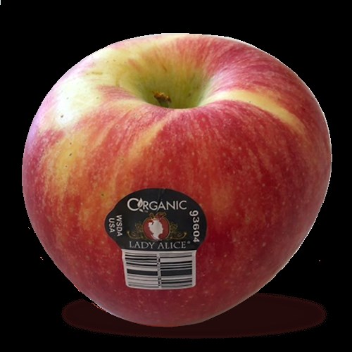 Lady Alice Apple Review - Apple Rankings by The Appleist Brian Frange