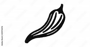 Pepper spices outline icon animation footage/video. Hand drawn like symbol animated with motion graphic, can be used as loop item, has alpha channel and it's at 4K video resolution.