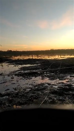 🔥 A Great Short Hunting Trip with a Friend! Today was pure fun in the field — good friends, beautiful birds, and moments that will always be remembered. 🖤🦆 This is not just hunting… it’s friendship, patience, and a connection with nature. These trips are the real treasure of a hunter! 🤝🔥 👇 What do you think? Share your thoughts in the comments! #DuckHunting #FriendshipGoals #HuntingLife #BirdHunting #WildMoments #HunterLife #RespectTheHunt #FieldTime #NatureLovers #FacebookViral 🔥🦆 #face