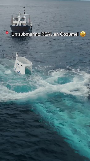 Submarino REAL en Cozumel: ¡Explora el Mar!