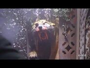 Fiesta de Chupacabras - Universal's Halloween Horror Nights 2022 - Universal Studios Florida