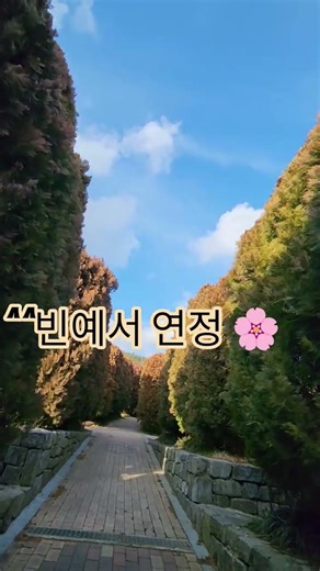 #마성의목소리 #빈예서#연정#신곡#트로트#트롯요정#대박가수