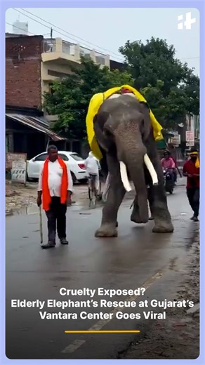 A 48-year-old elephant’s heartbreaking rescue from years of neglect has sparked nationwide outrage over animal welfare. Now housed at Gujarat’s Vantara rescue and rehabilitation center, her story is moving millions online. #elephantrescue #animalwelfare #vantara #gujaratnews #wildliferescue #animalrights #viralnews #saveanimals #indianews #naturelovers | Indiatimes