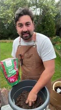 An Easy Guide to Planting Acers in Pots #gardeningtips #acer #gardening