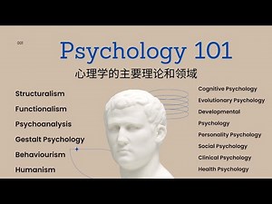 Psychology101|心理学入门理论和领域