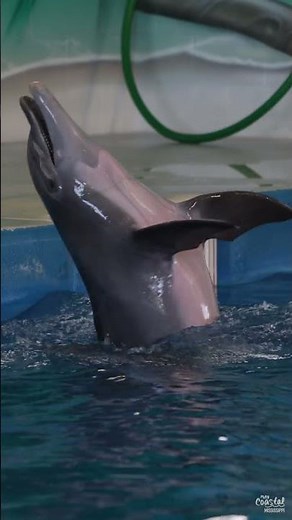 IMMS and Ocean Adventures