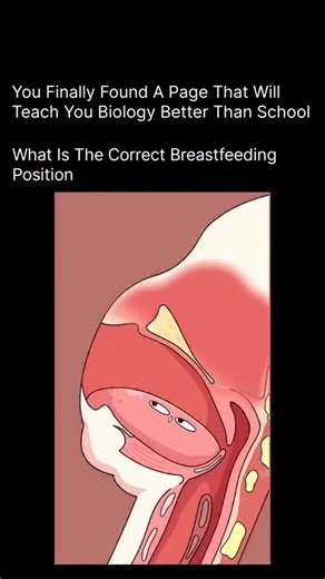 HEALTH | MEDICAL | BIOLOGY on Instagram: "When a baby is positioned properly, their entire body faces the mother, not just the head. The baby’s ear, shoulder, and hip should form a straight line, allowing easy swallowing and smooth milk flow. Their nose should be opposite the nipple, so when they open their mouth wide, they can latch deeply onto the areola—not just the nipple. A deep latch prevents nipple pain, cracking, and poor milk transfer. The most recommended basic position is the Cradle H