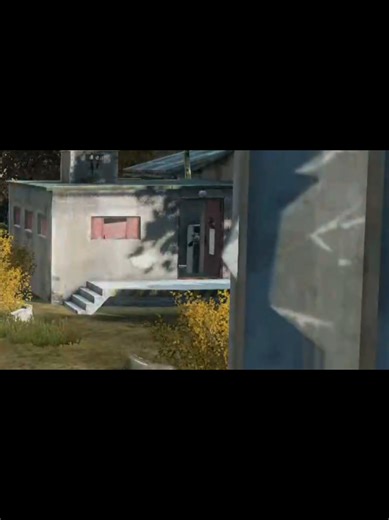 #dayz #dayzmoments #dayzclips #fyp