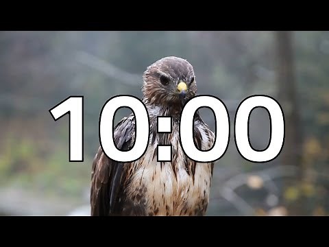 10 Minute Timer with Animals