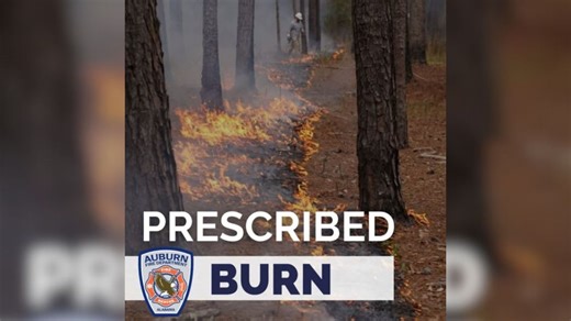 Prescribed burns scheduled in the Auburn area for Tuesday morning