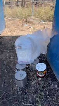 I Found Survival Food At The Dump! #scrapper #prepper #dumpsterdiving