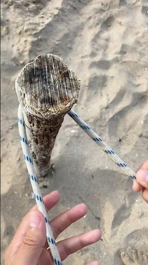 🪢 Fast, Secure & Adjustable – Learn the Running Bowline NOW!