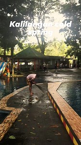 Kalilangan Cold Spring, also known as Daddy's Resort, is a popular destination in Tubod, Lanao del Norte, Philippines. The resort is renowned for its cold spring waters, offering visitors a refreshing retreat amidst natural surroundings. #highlights2024 #spring #everyone | Andre Maglinte