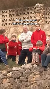 24K views · 394 reactions | Truffle hunting with a 10-year-old sow  #reels #truffle #tradition #documentary | Eugenio Monesma Documentaries | Facebook