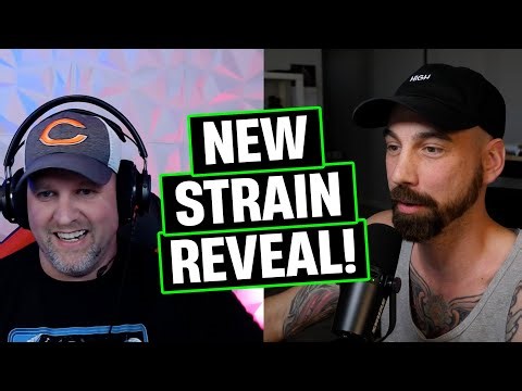 The Story Of Magic Candy Mountain OG!