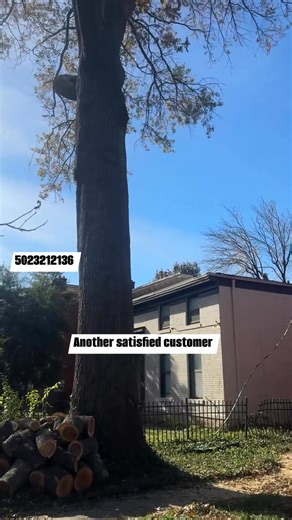 STS Tree Service on Reels