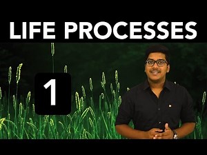 Biology: Life Processes (Part 1)