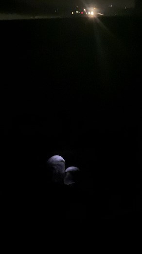 For example, be a passenger princess with a Code10 license. Bye #passengerprincess | Kagiso Tlatsana