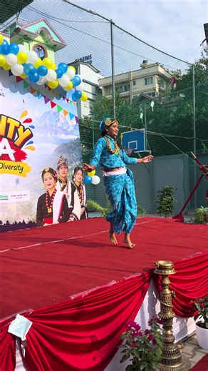 Triton College TU Diversity Mela Festival: A Cultural Celebration