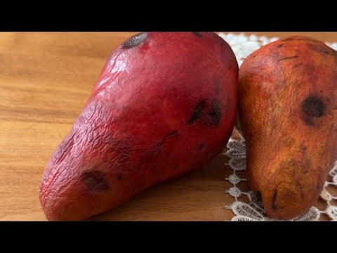 Дегустація Бірюзової на 07.02.2025 р. Львівська область