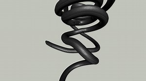 Snakes, collision study.