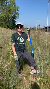 🚮What is spotted knapweed and why is it harmful? This invasive plant from Europe crowds out native plants and animals, taking over their habitat. To remove it, wear long sleeves-- it can be a skin irritant. Get it before it goes to seed and remove the entire root. After removal, place the plant in trash bags to properly dispose of. ***DO NOT*** try to compost; spotted knapweed can seed after it's been removed from the ground. 🎋💚Join us on our next Stewardship Day July 19th at 9:30 AM to get s