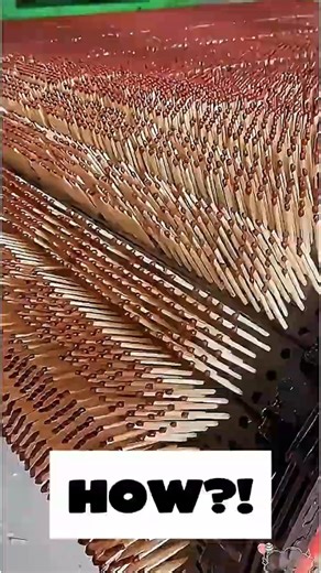 How Matchsticks Are Made#howitsmade#matchsticks#processvideo#shorts#insight#manufacturing