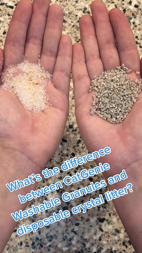 CatGenie Washable Granules vs. Disposable Crystal Litter: Spot the Difference!